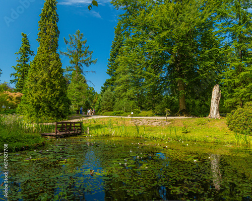 Fototapeta Naklejka Na Ścianę i Meble -  Park