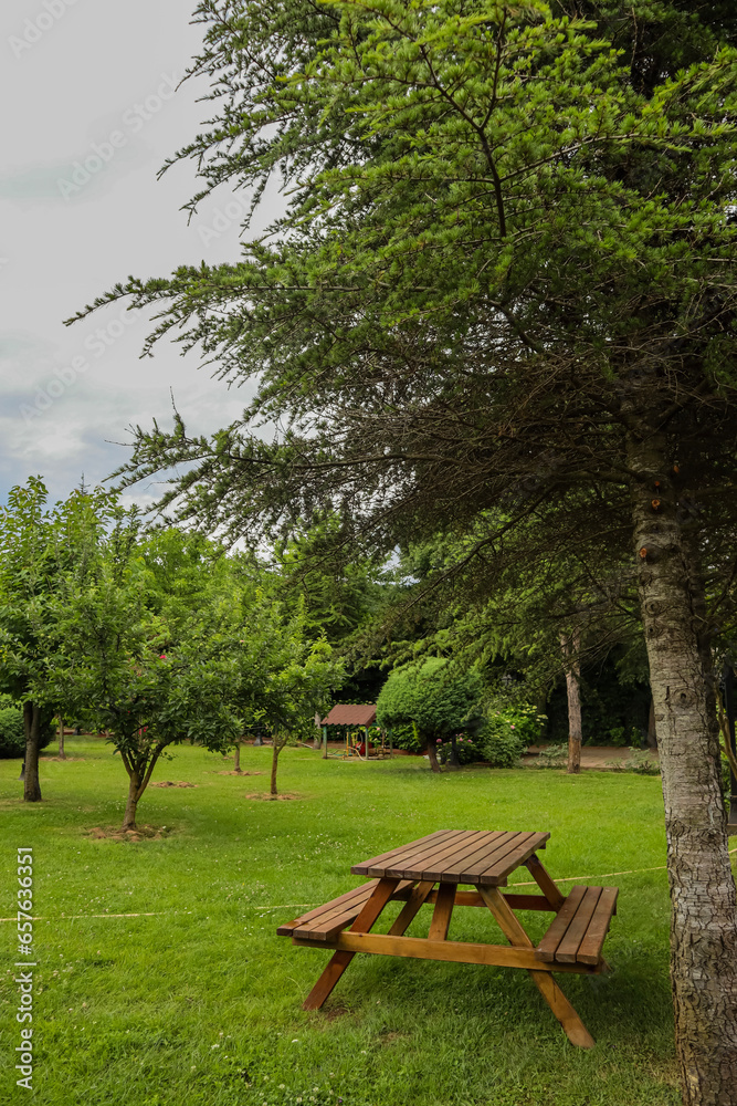 bench in the park