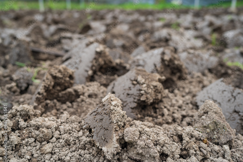 Dry lumpy soil, Soil for growing vegetables. Dry lumpy soil, Soil for growing vegetables.