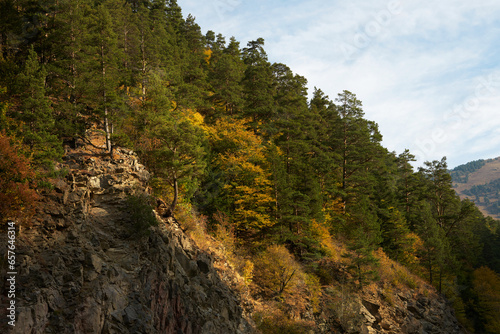 Autumn picturesque mountain landscape. Rocky mountains with growing trees near the cliff.
