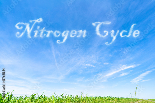 Nitrogen Cycle: The natural cycling of nitrogen through the atmosphere, soil, and living organis