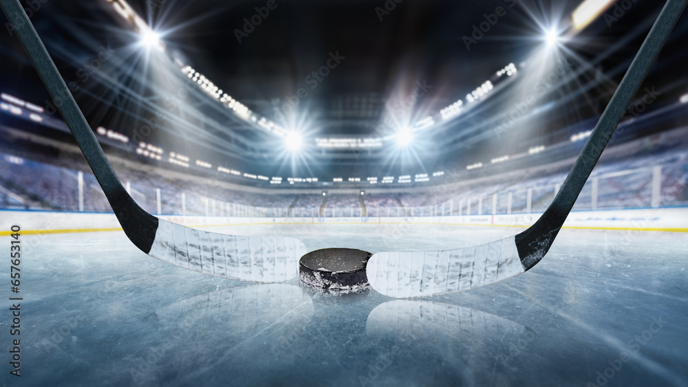Support d'affichage de rondelle de hockey par Handy Bear