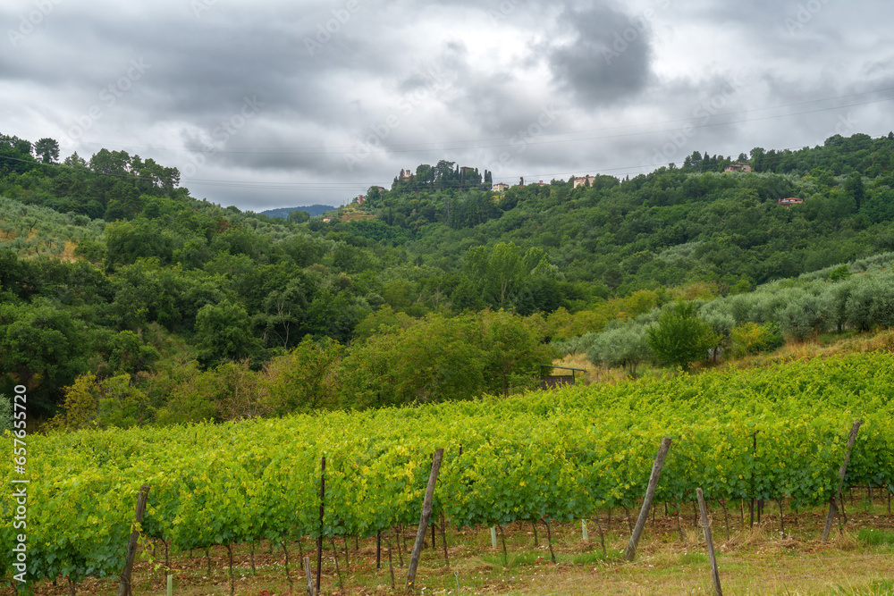 Rural landscape near Cavriglia, Arezzo, Tuscany
