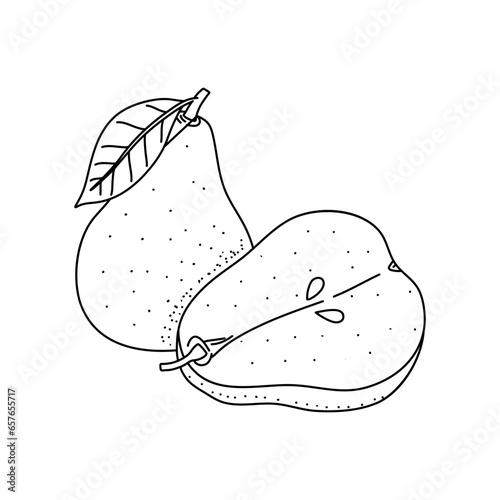 Doodle pears, black outline on a white background. Linear vector drawing isolated on white background
