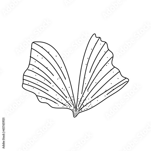 Alocasia leaf in a linear style. Botanical illustration isolated on white background. Element of linear design. Hand drawn sketch.