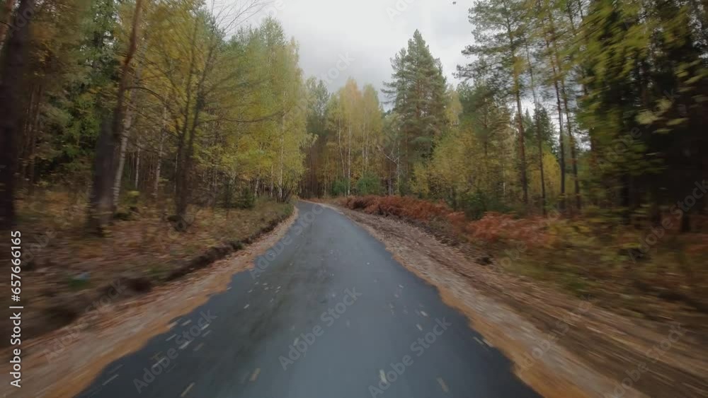 We drive along a forest road surrounded by green coniferous forests. We drive along a forest road surrounded by green coniferous forests.