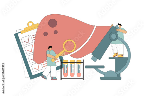 Human liver concept. Liver treatment. People examine and diagnose the liver