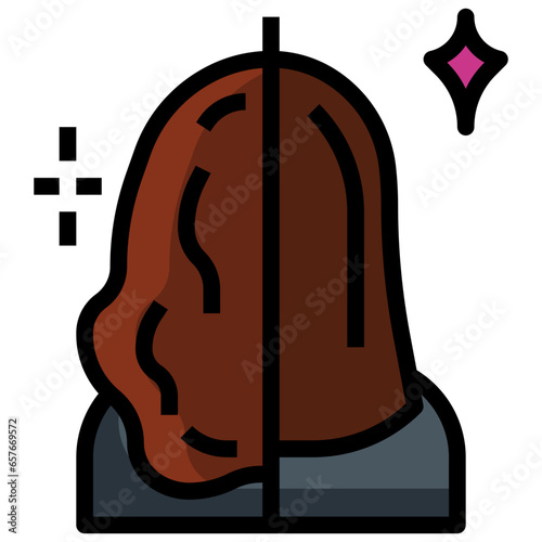 hair1 filled outline icon,linear,outline,graphic,illustration