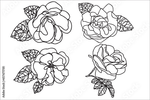 Black and white line art flower illustration. Rose outline, contour, illustration with leaves. Black thin contour decoration.