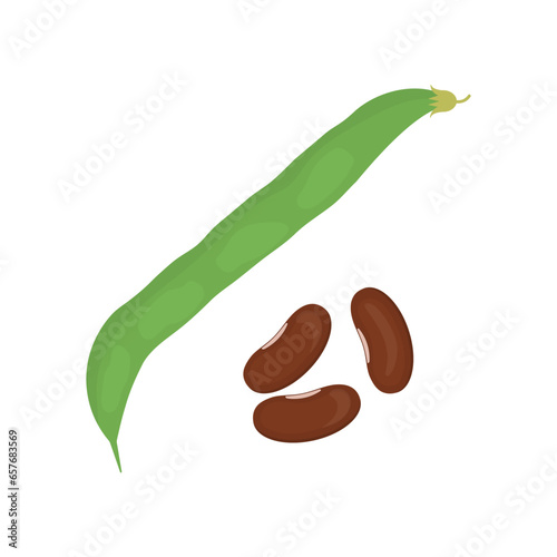 Bean pod flat vector illustration on white background