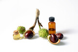 Autumn horse chestnut with peel, bottles with oil and chestnut extract on a white background