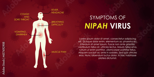 Symptoms of Nipah virus, human body sign, health notice, medical message, warning background, stop infection spreading, dangerous health situation, epidemic alert, copy space for text