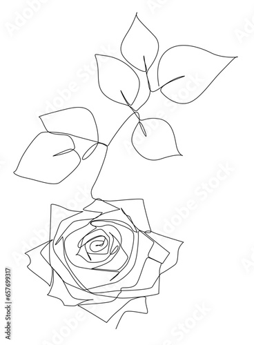 Artistic drawing of roses and leaves of roses beautifully arranged, one line art hand drawn free hand vector illustration.