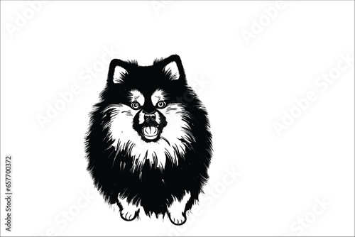 Sweet Keeshond: A Vector Illustration of an Irresistibly Cute Dog