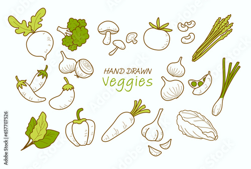 Veggies hand drawn collection, vegetables set.