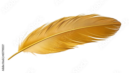 gold feather isolated on transparent background cutout