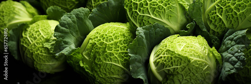 Cabagge fresh and ripe vegetable food banner for web or design. Generative AI photo