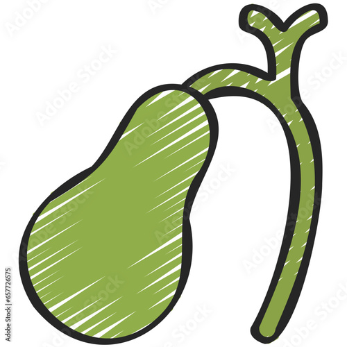 Gallbladder Icon