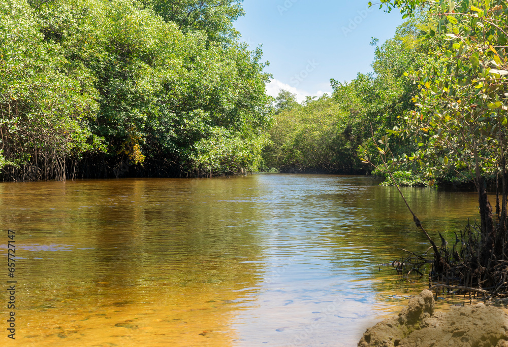 Landscape with forest, blue sky and a river in fron Landscape with forest, blue sky and a river in fron