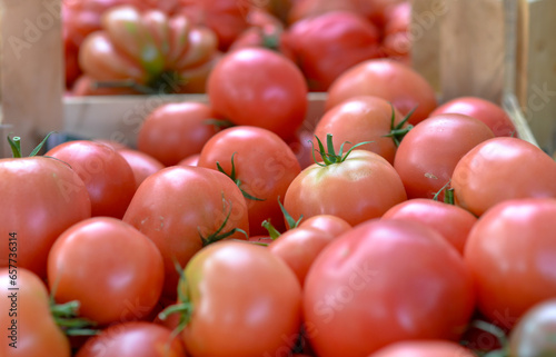 Einkaufen auf dem Wochenmarkt: Close-up auf eine Auswahl an unterschiedlichen Tomaten an einem Verkaufsstand, selektiver Fokus, sehr viel Copyspace photo