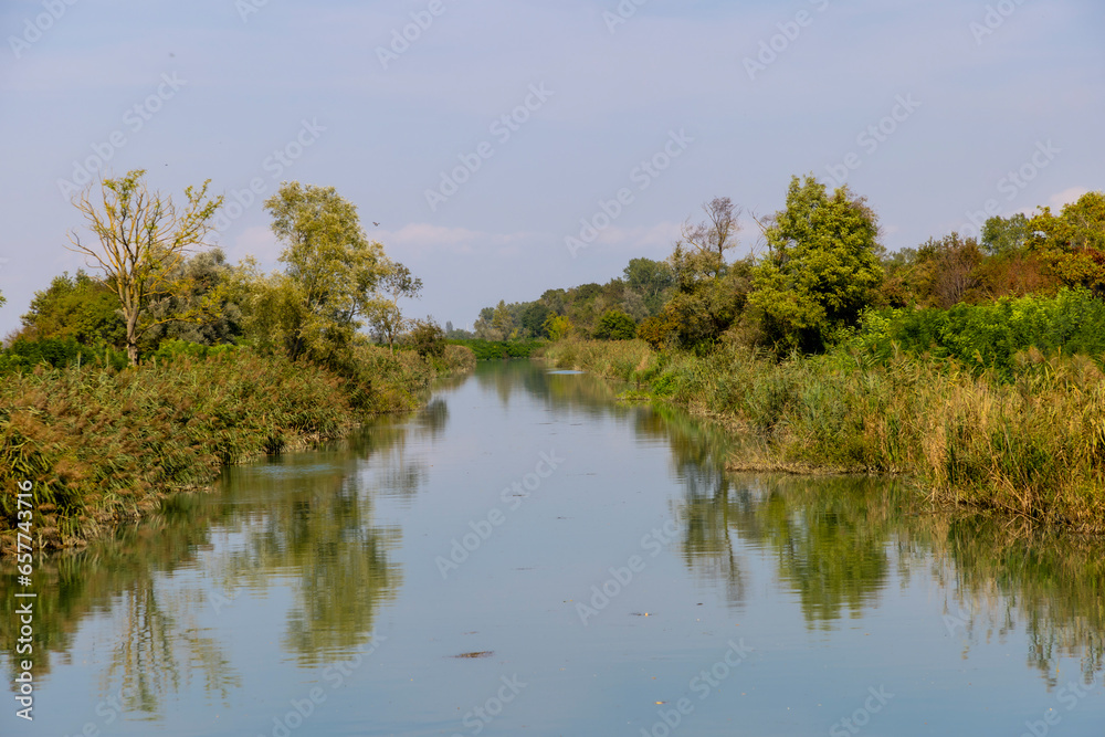 Nature shot of Tagliamento river in Pertegada area in Friuli Venezia Giulia, Italy