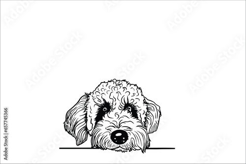 Curious Labradoodle: A Vector Illustration of a Playful Dog Sneaking a Peek