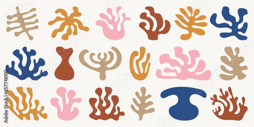 Set of abstract organic shapes. Sea plants, sponge, leaf, corals, algae, vase in paper cut collage style. Contemporary aesthetic vector element for logo, decoration, print, cover, wallpaper. Matisse