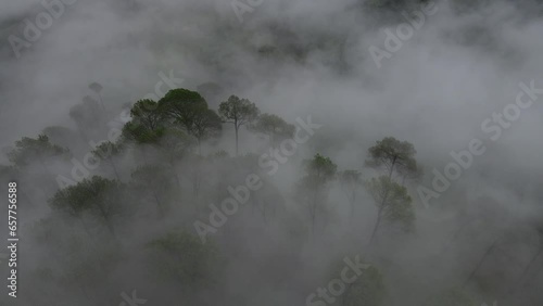 Drone flying through the fog	