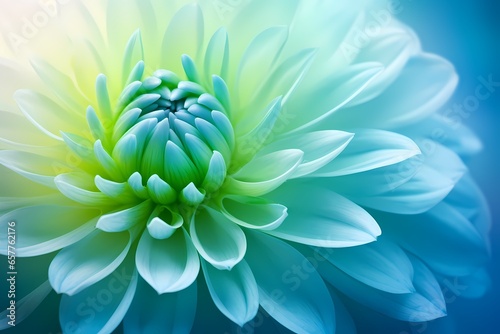 A vibrant flower in soft focus with a dreamy background