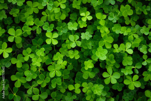Green Clover Field Texture For Background Created Using Artificial Intelligence