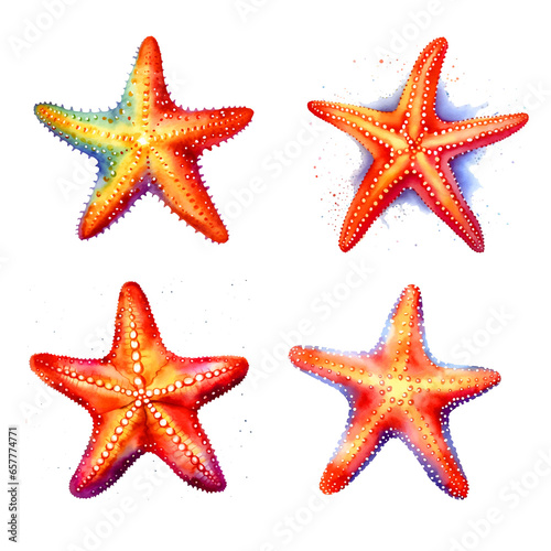 Sea starfish watercolor paint collection
