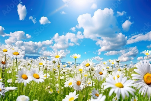 Landscape of beautiful scenery of flowers blooming on the meadow in spring season with sunlight and blue sky background. Horizontal panoramic view of nature grass field.