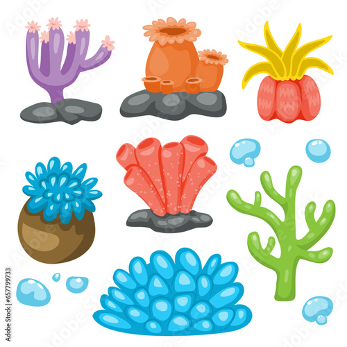 Set Cartoon underwater plants and creatures vector cartoon style