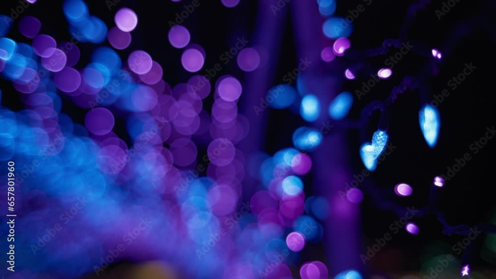 Bokeh purple blurred lights hanging on a tree. Slow motion, shallow depth of field. 