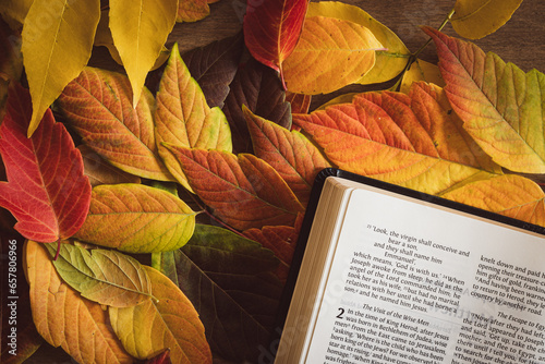 Open bible on a bed of autumn leaves with copy space