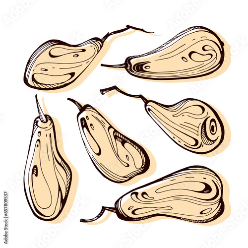 Set of hand drawn pears with color spots. Vector illustration. Isolated on white background. Elements for food design. Minimalist linear sketch. Good for banners, posters, postcards, brochures, menus.