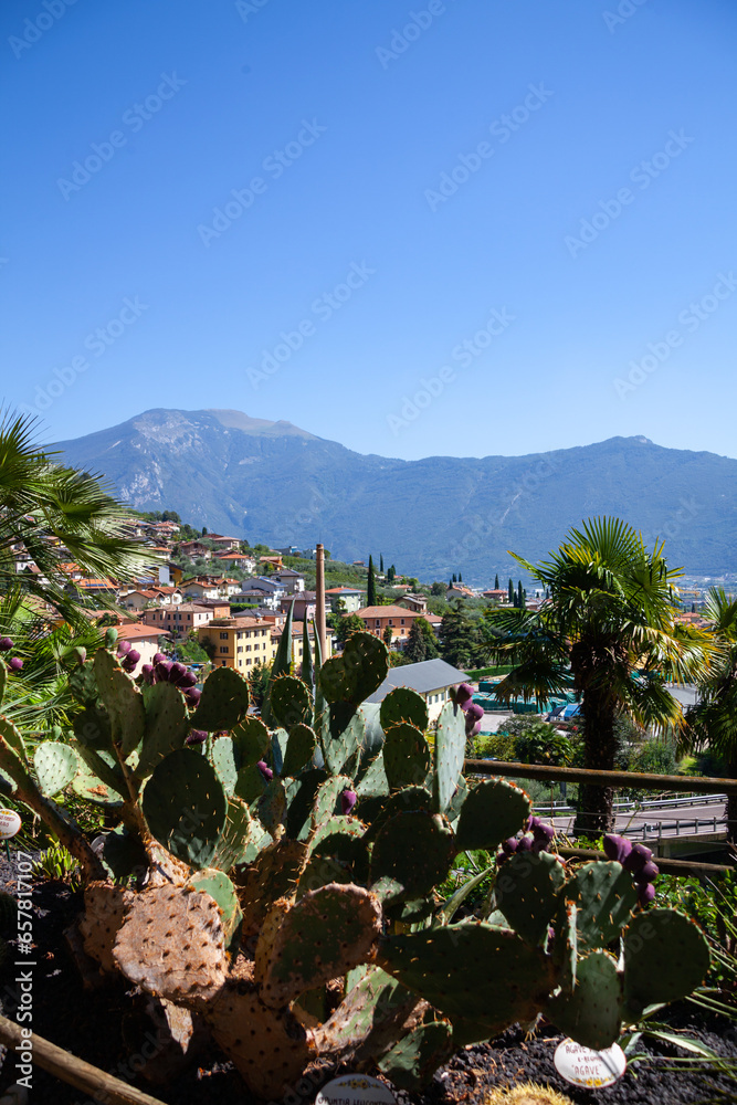 View from botanical garden of Varone waterfall, in Riva del Garda, Italy