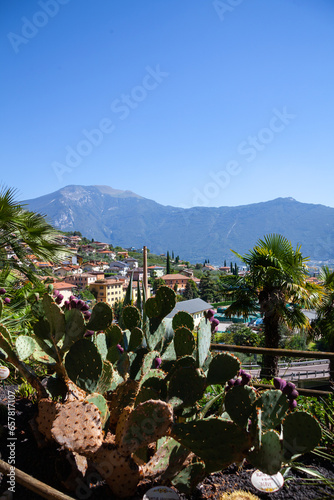 Obraz na płótnie View from botanical garden of Varone waterfall, in Riva del Garda, Italy w salonie