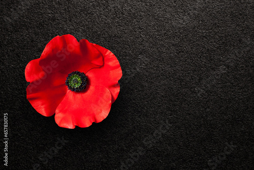 Poppy flower on black textured background with place for your text. Decorative flower for Remembrance Day. Memorial Day. Veterans day.