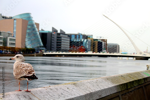 Photography Dublin's long pier III