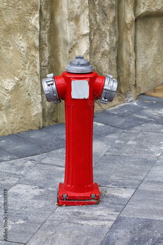 A brightly painted fire hydrant in a city park.