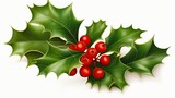  a christmas holly with red berries and green leaves on a white background.  generative ai
