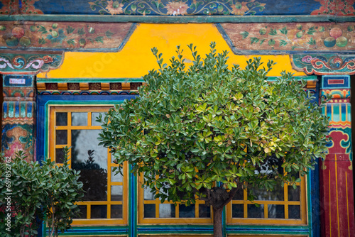 Tree obscures a window of the Jokhang temple, Lhasa; Lhasa, Tibet photo