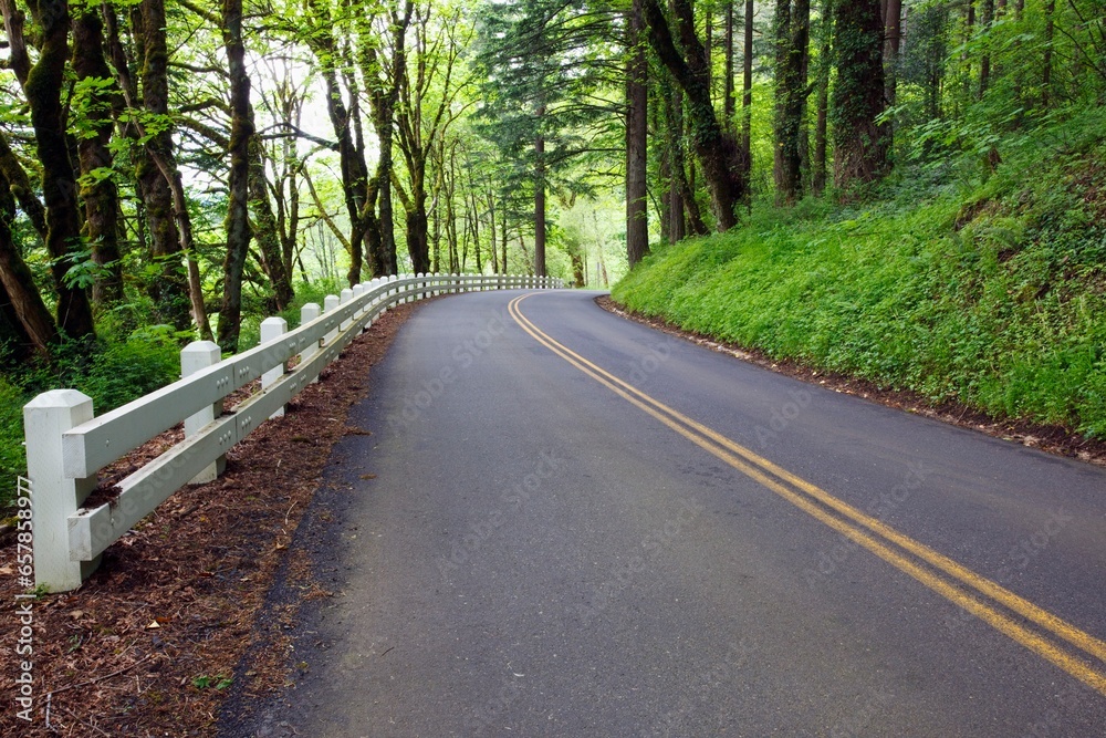 Oregon, United States Of America; Lush Green Foliage And A Fence Along The Road In Columbia River Gorge National Scenic Area Oregon, United States Of America; Lush Green Foliage And A Fence Along The Road In Columbia River Gorge National Scenic Area