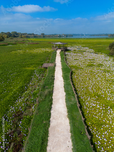 Caminho até ao coreto na Pateira de Fermentelos em Águeda, Aveiro  photo