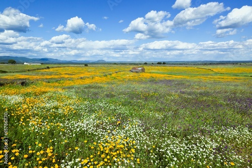 Fields In Springtime Near Guadalupe; Caceres Province, Spain photo