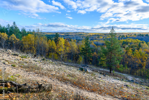 Landscape with rock in forest.