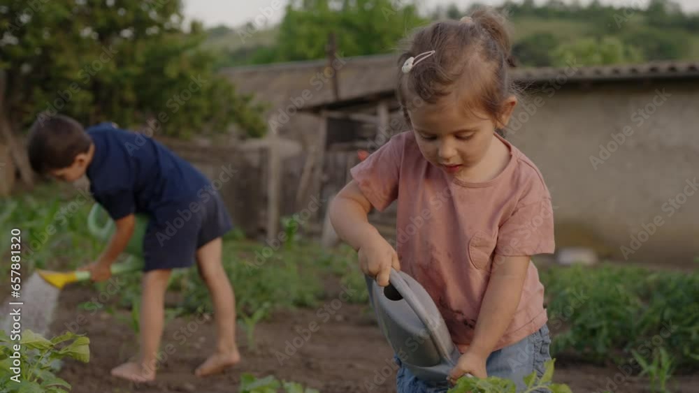 Two children watering organic fresh agricultural product. Kids and family.