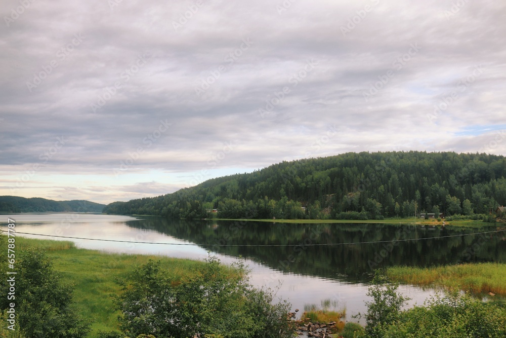 Obraz premium lake and forest