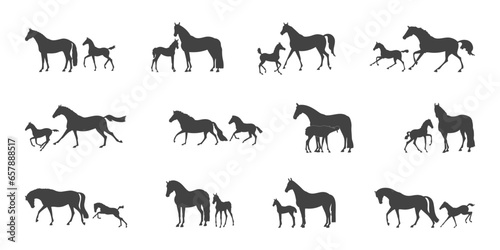 Set of vector silhouettes, mares with their foals